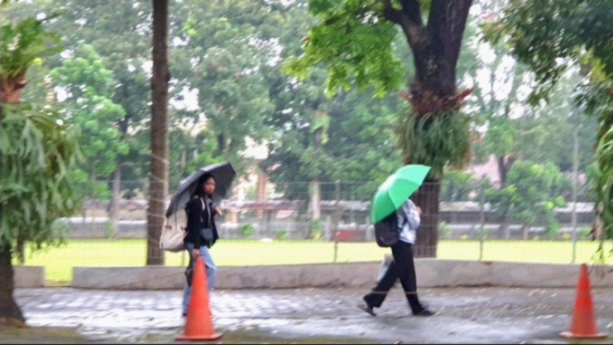 Ketika Hujan Turun di Bulan Kering: Memahami Fenomena Kemarau Basah yang Terjadi Saat Ini
