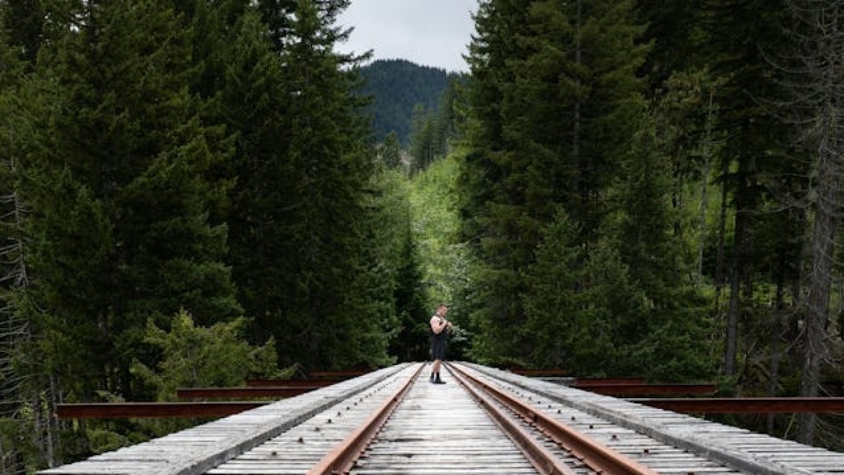Keajaiban Musim Gugur Colorado: Petualangan Kereta Api yang Memukau Hati!