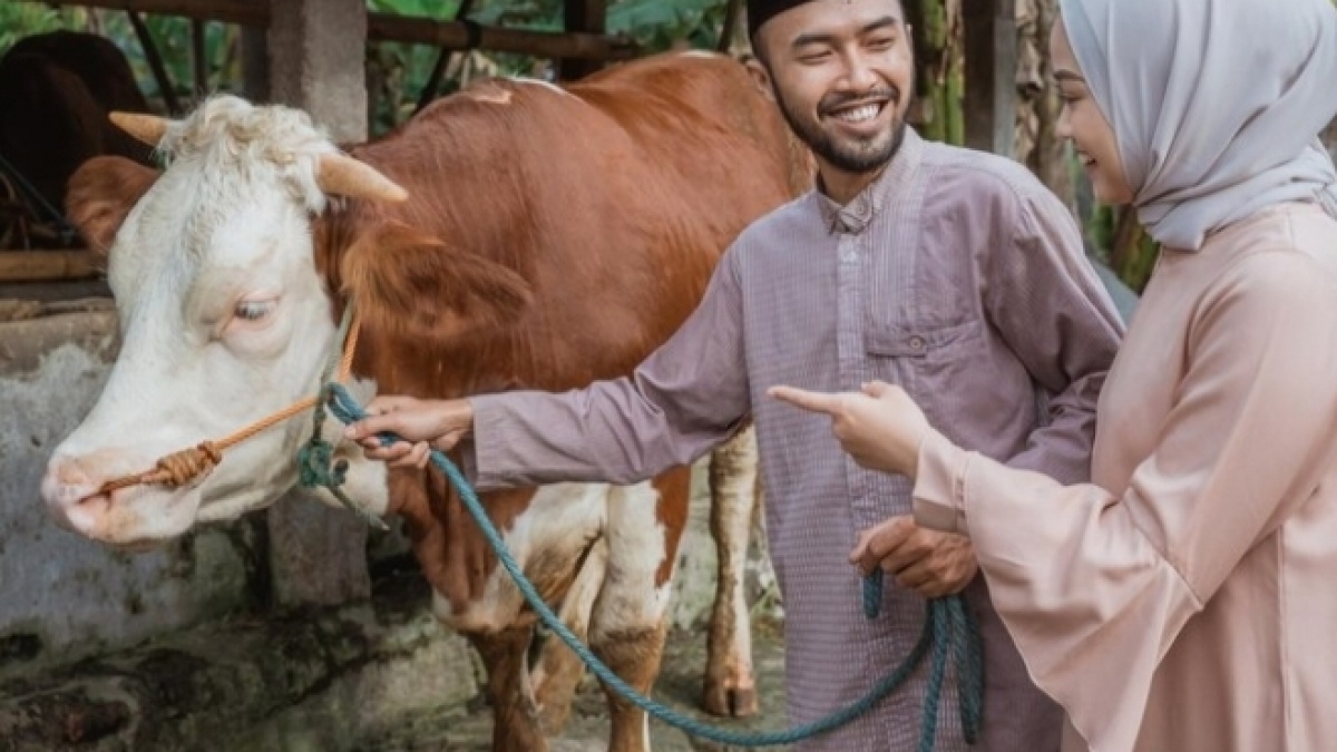 Apakah Hewan Kurban Kelak Masuk Surga? Begini Jawaban para Ulama