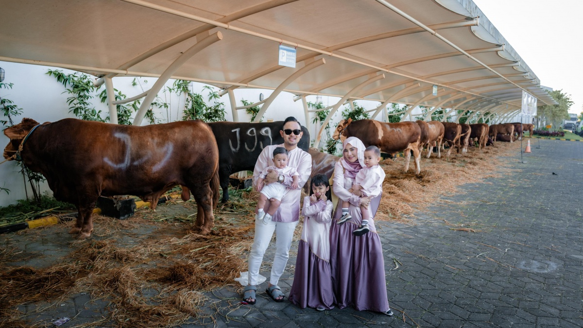 Dermawan Banget! Gilang dan Shandy Purnamasari Kurban 28 Sapi, 18 Diakadkan Buat Karyawan