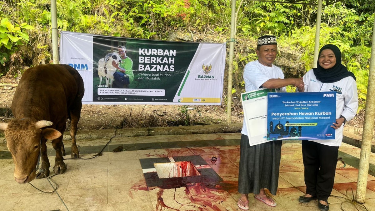 PNM dan BAZNAS Antar Kurban dari Donasi Karyawan hingga ke Ujung Negeri