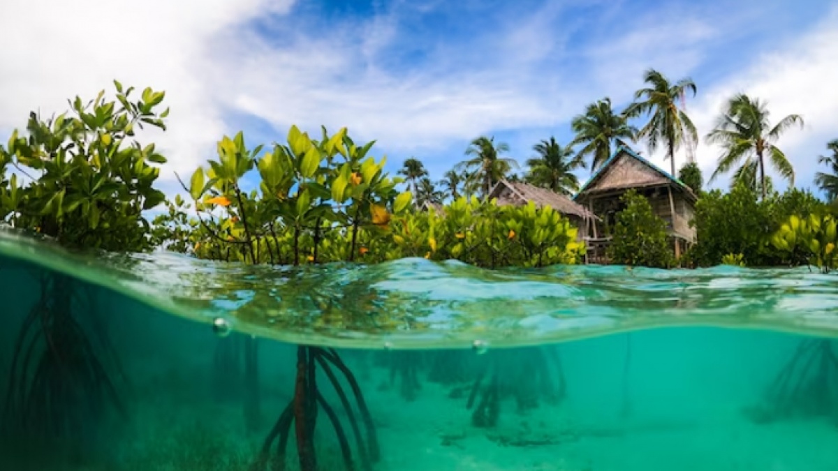 Tarif Capai Puluhan Juta, Ini 6 Resort Mewah di Raja Ampat Langganan Para Sultan
