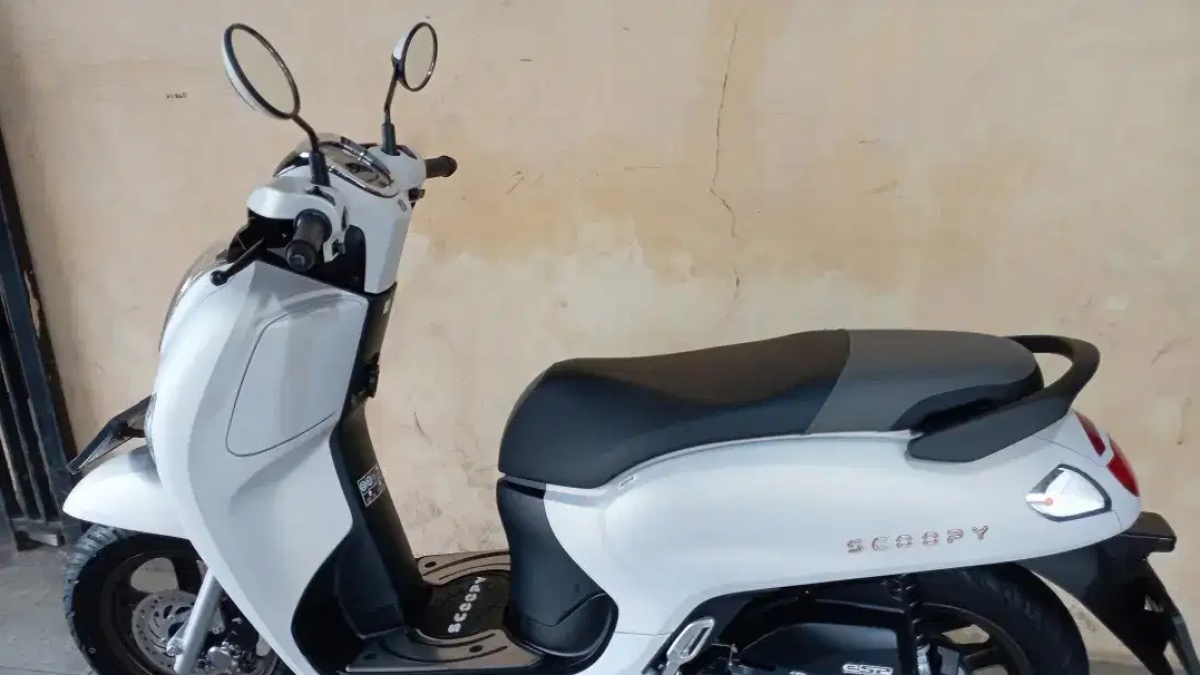 Berapa Harga Scoopy Second Sekarang? Dari yang Termurah Sampai Paling Mulus