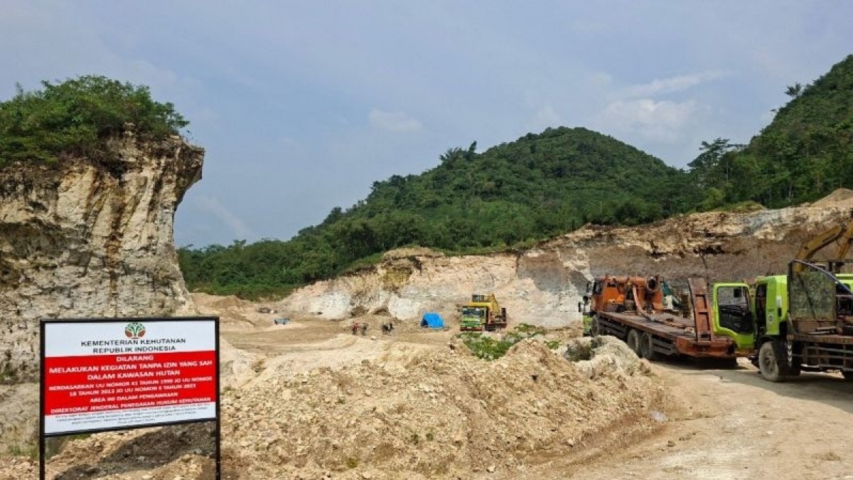 Hutan Dirusak Tambang Ilegal, Kementerian Kehutanan Gelar Operasi Gabungan