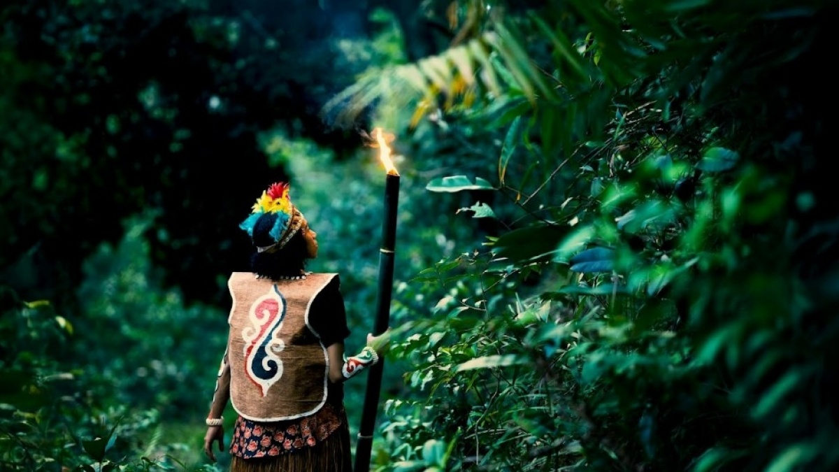 Suara dari Tanah yang Terluka: Orang Muda Papua Menuju COP30