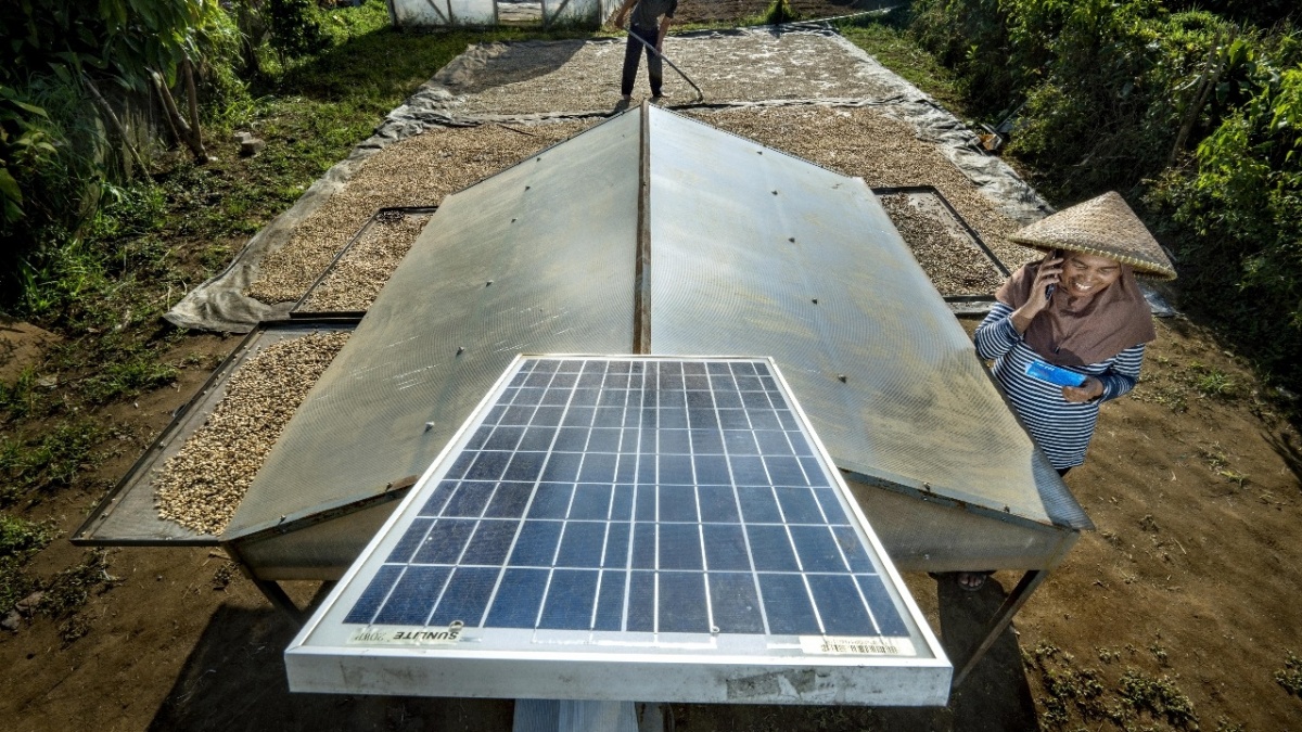 BRI Salurkan Rp698 Triliun untuk UMKM, Dorong SDGs Nomor 8