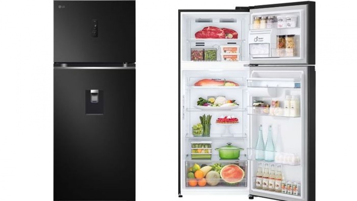 5 Rekomendasi Kulkas 2 Pintu Freezer Besar Terbaik: LG, Sharp, hingga Polytron