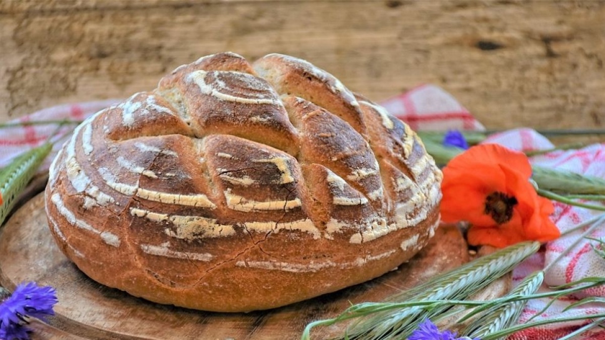 5 Rekomendasi Roti Sourdough Tanpa Tambahan Kimia dan Pengawet, Aman Bagi Anak