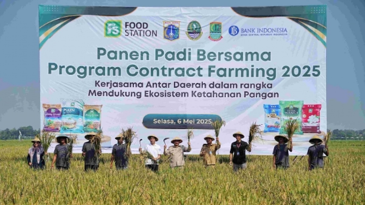 Lewat Contract Farming, Pemprov DKI Penuhi Kebutuhan Pangan Jakarta