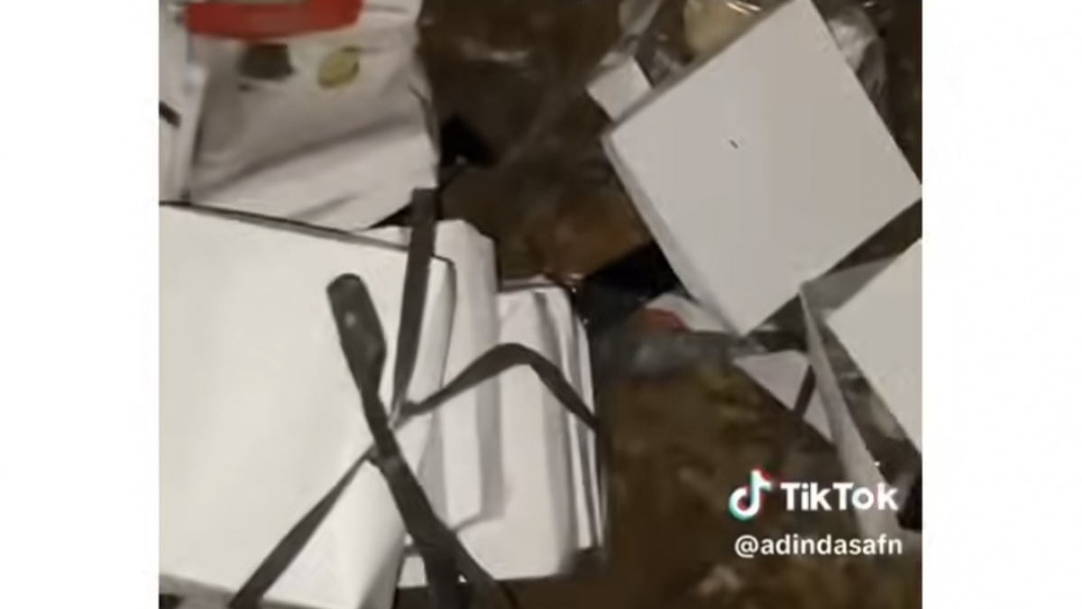 Viral Ratusan Nasi Kotak Dibuang Usai Upacara di Istana, Netizen : Anak Kos Menangis Lihat Ini