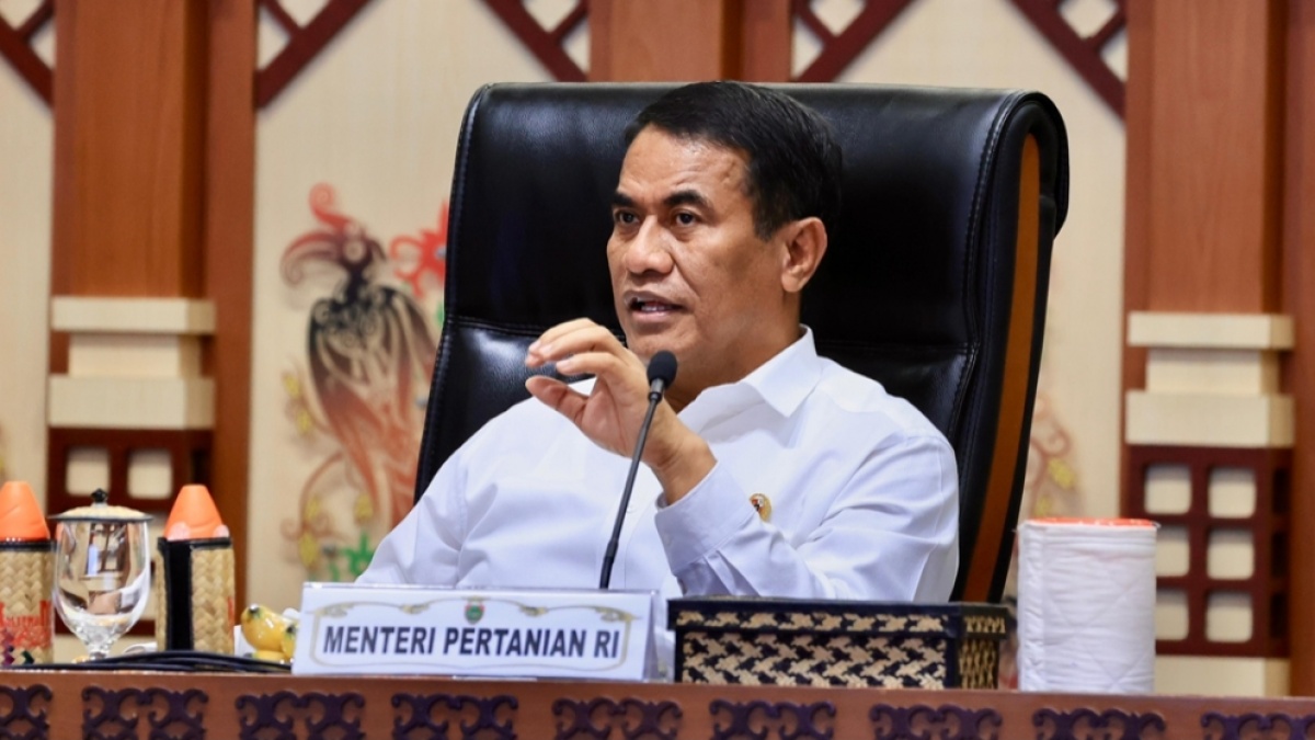Bagaimana Cara Menteri Pertanian Turunkan Harga Beras?