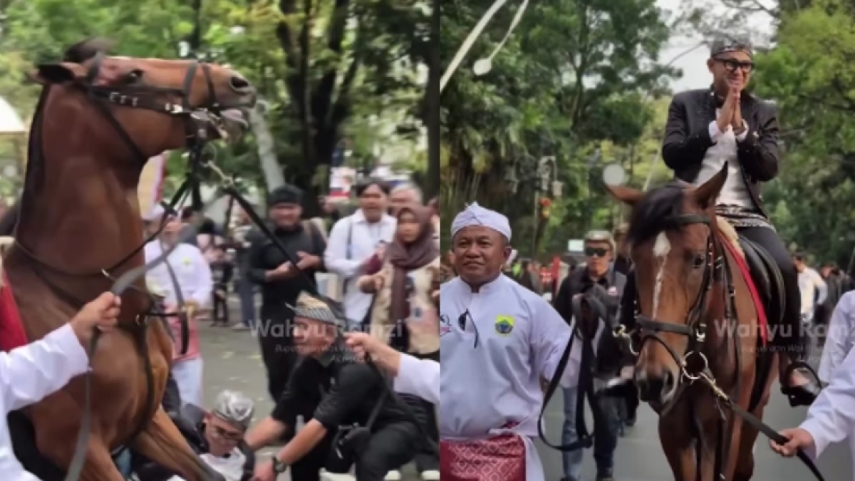 Jatuhnya Ramzi dari Kuda, Simbol Perjuangan Artis di Panggung Politik yang Tak Selalu Mulus?
