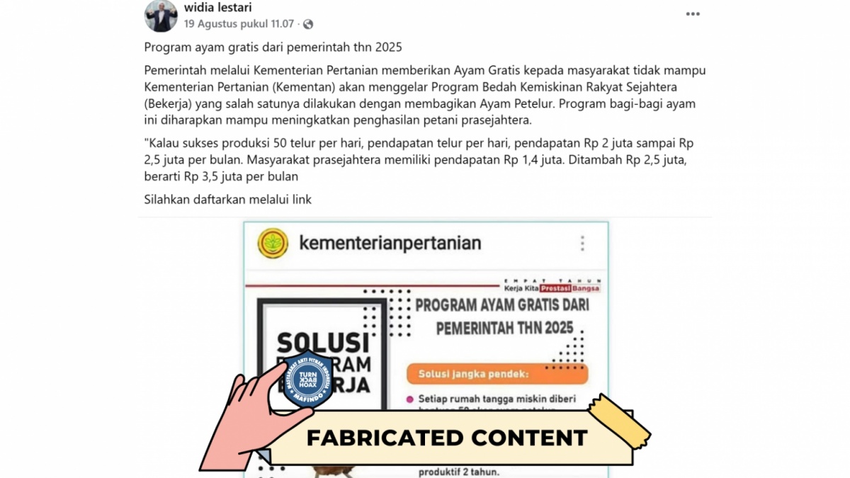 CEK FAKTA: Program Ayam Gratis 2025 dari Kementan