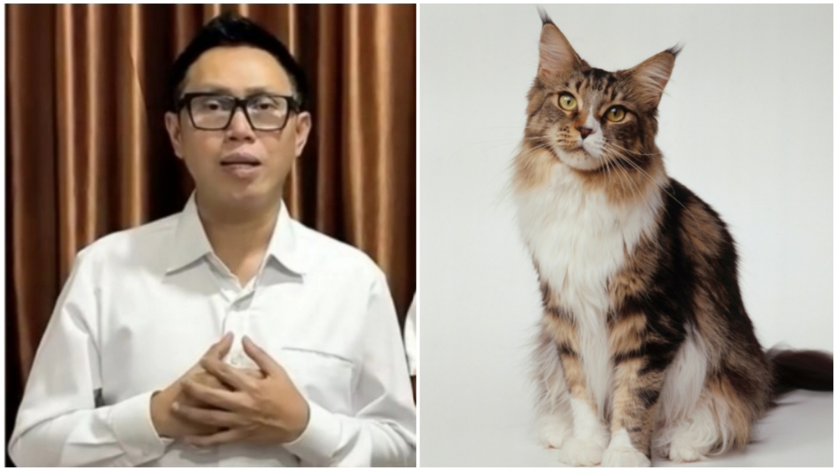 Update Eko Patrio: Dicopot dari DPR, Warga Adopsi Kucingnya yang Ditinggal
