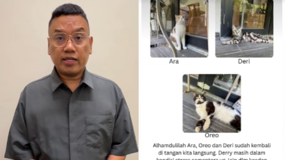 Bikin Geram! Pelaku Pencurian Kucing Uya Kuya Malah Minta Uang Tebusan