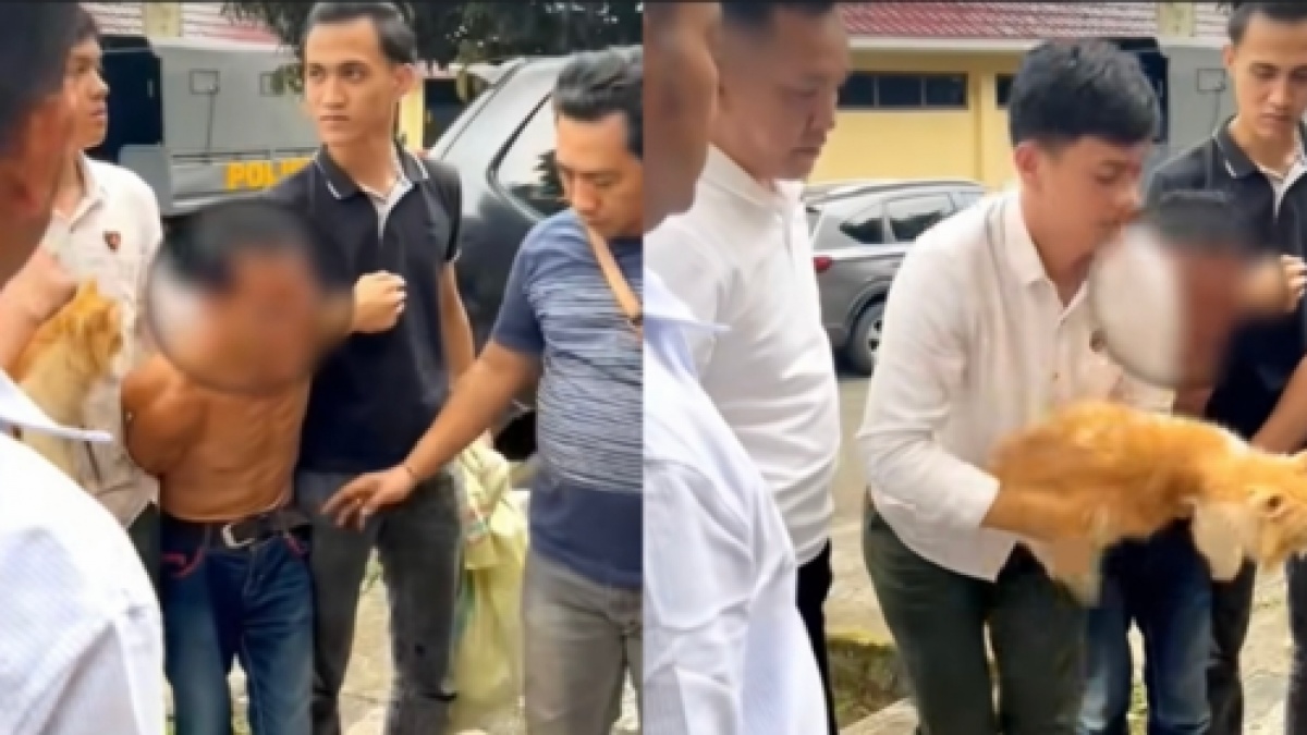 Ngaku Jual Daging Kambing Muda, Pria di Sumsel Tega Jagal Ratusan Kucing
