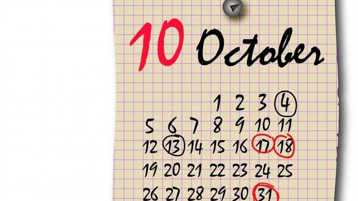 13 Oktober Hari Apa? Ini Sederet Peringatan Penting, Termasuk No Bra Day