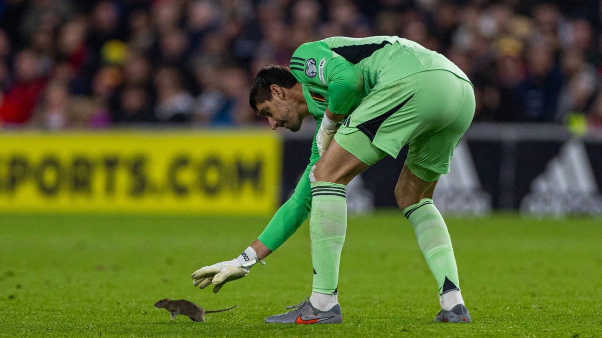 Viral!Tikus Masuk Lapangan, Bikin Kacau Laga Kualifikasi Piala Dunia 2026