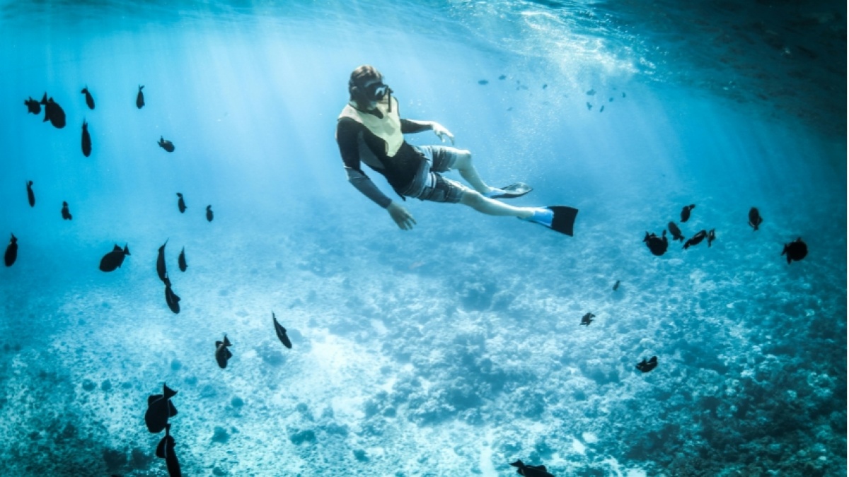 Menyelam ke Keindahan: Tempat Snorkeling Terbaik di Karimunjawa