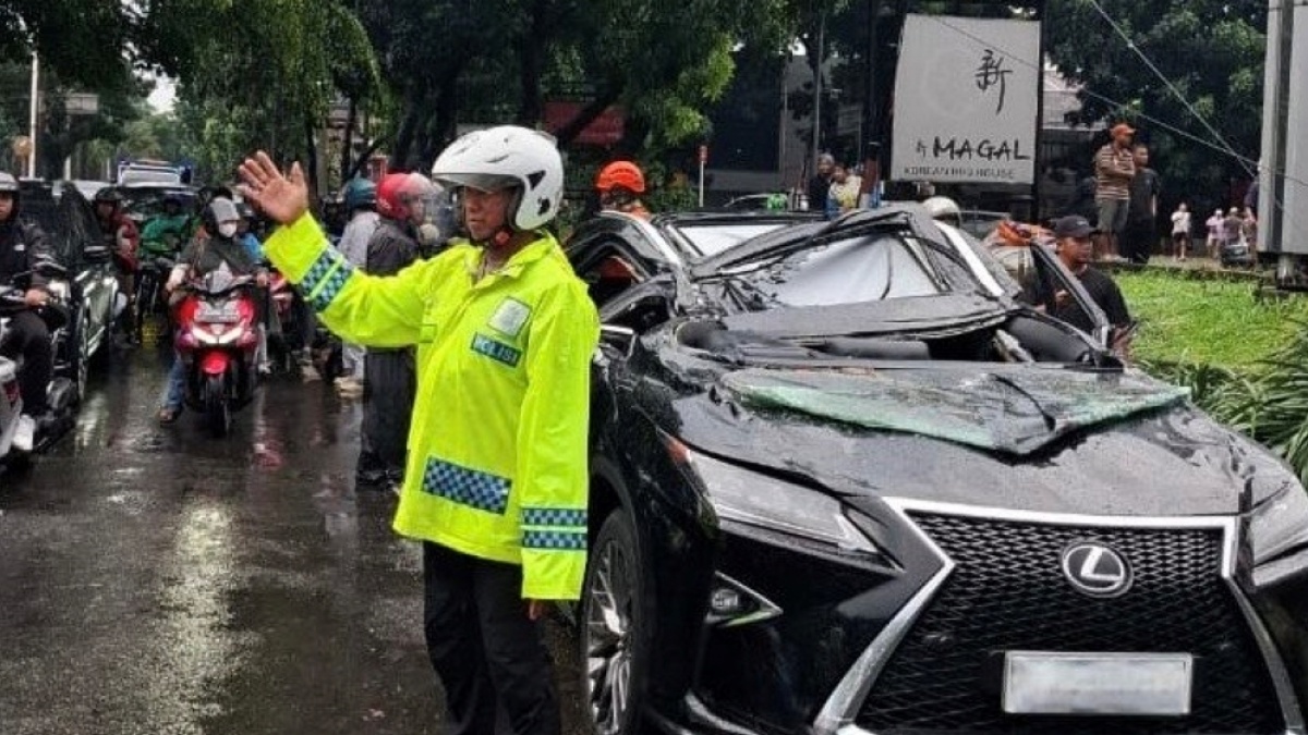 Tragis! Lexus Ringsek Tertimpa Pohon Tumbang di Pondok Indah, Pengemudi Tewas
