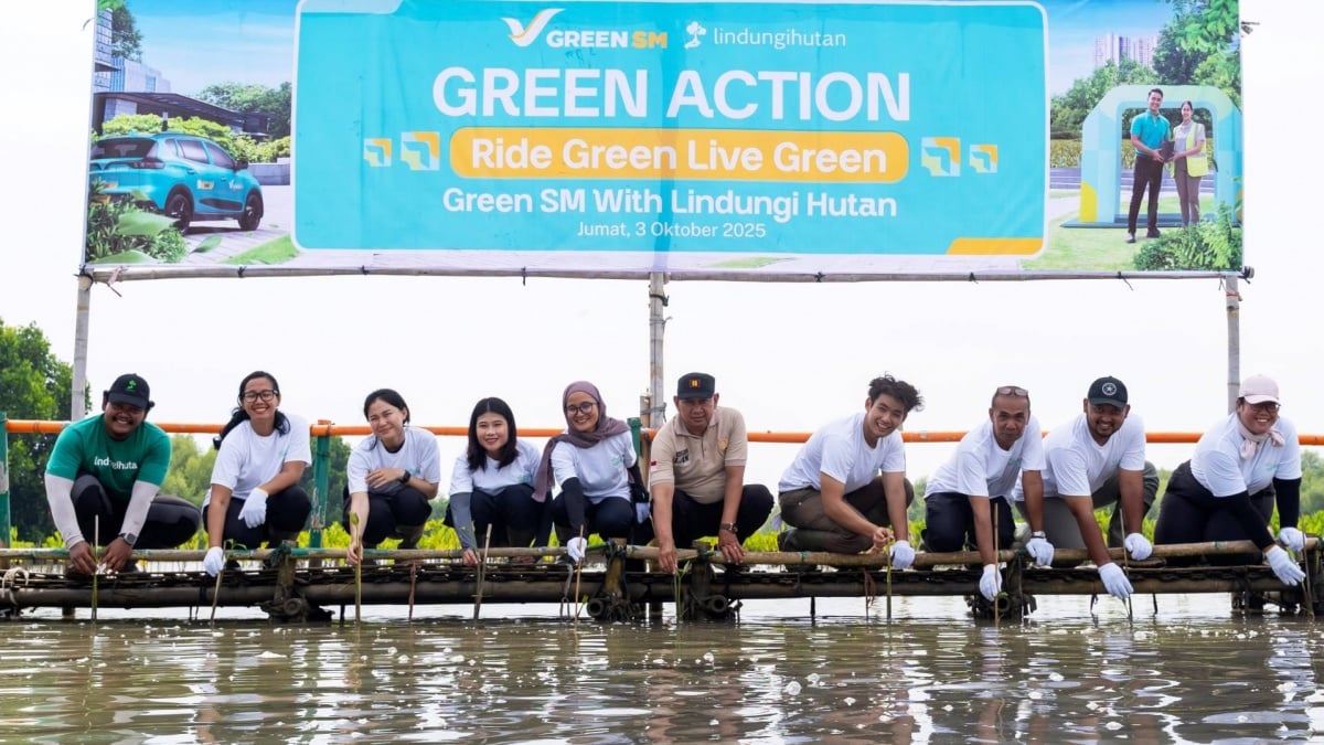 Green SM Tanam 1000 Pohon Mangrove di Pantai Bahagia Bekasi