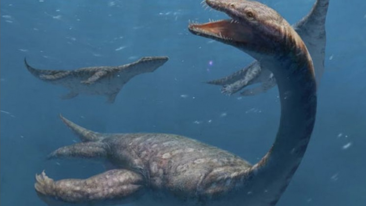 Fosil Reptil Laut Berleher Panjang dari Zaman Purba Ditemukan di China