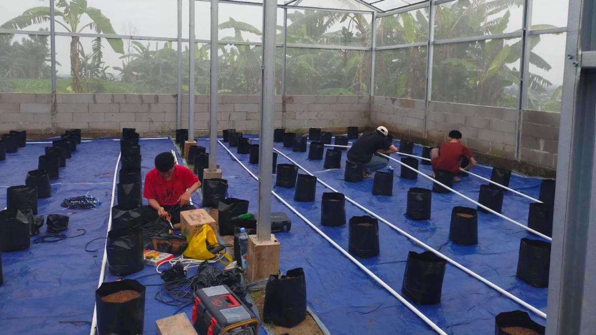 Keren! Dosen Polines Ajak Petani Demak Bertani Pakai IoT, Wujud Nyata Program Diktisaintek Berdampak