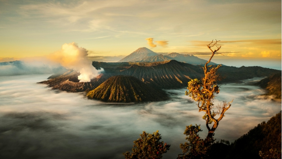 Pesona Gunung Bromo: Menggoda Wisatawan untuk Menyaksikan Keindahan Alam