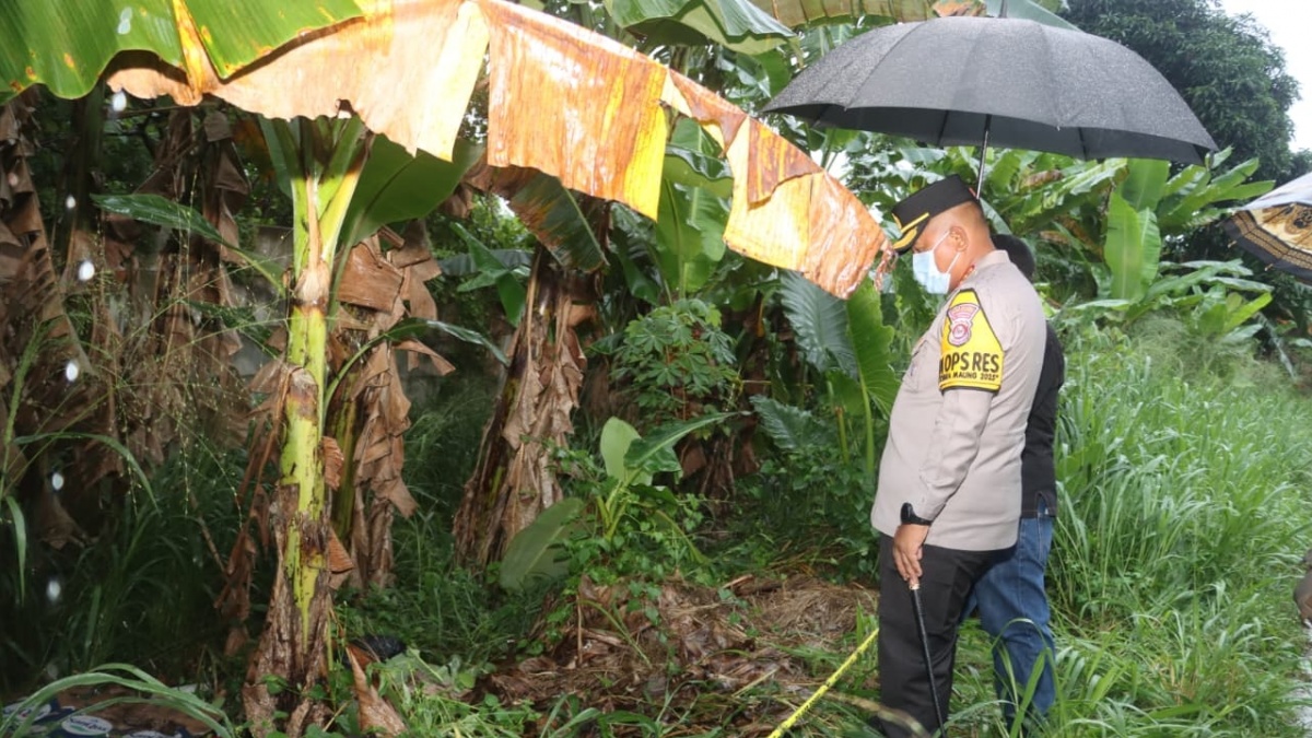 Mayat Membusuk Terbungkus Plastik Ditemukan di Kebun Pisang Cikupa, Polisi Buru Identitas Korban