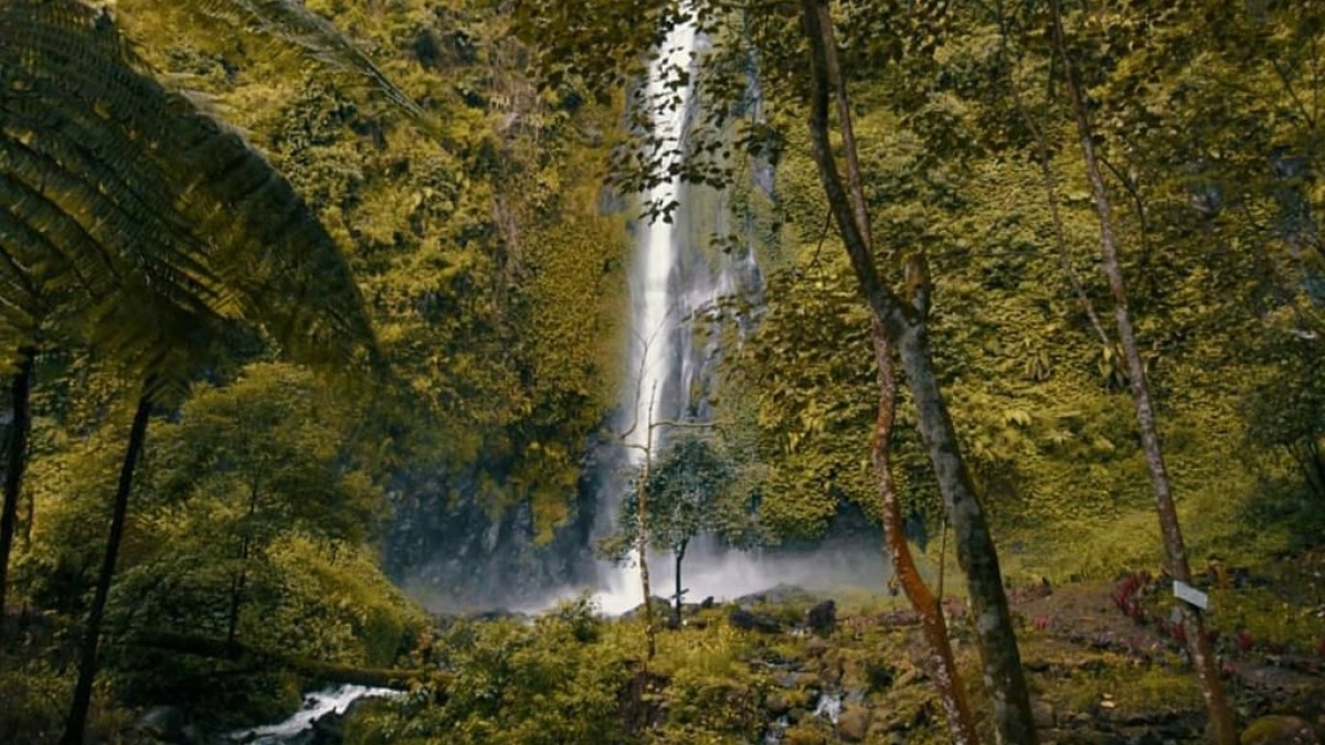 Pemkab Jember Siapkan Air Terjun Tancak  Sebagai Destinasi Unggulan Baru