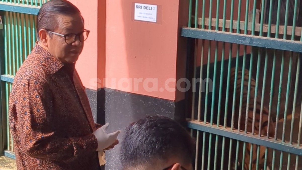 Pramono Ungkap Ada Orang Tidak Senang Ragunan Bersolek, Siapa?