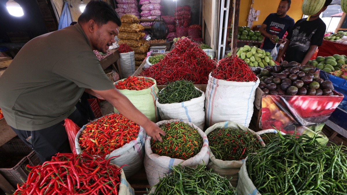 Harga Cabai Rawit Hijau Meroket 63%, Cabai Merah Tembus Rp132 Ribu/Kg