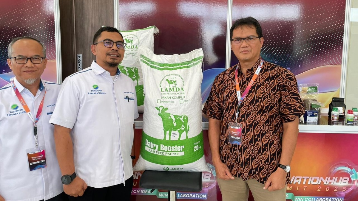 Pakan Komplit Fermentasi Jadi Solusi Menuju Swasembada Susu dan Daging Nasional