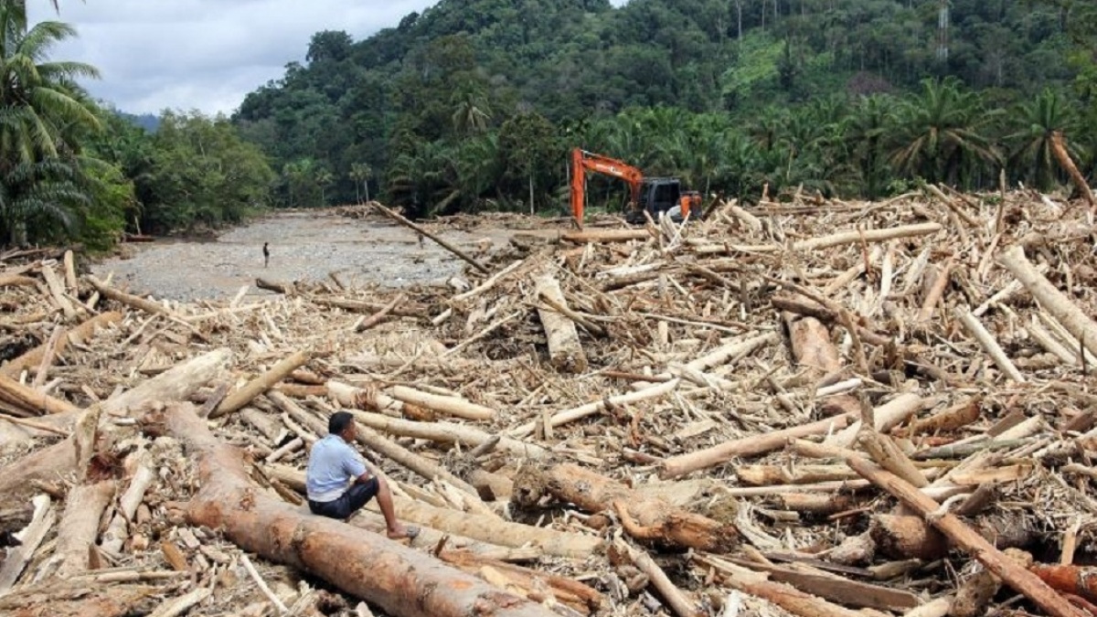 Kemenhut Buru Mafia Kayu di Balik Banjir Sumatera, Modus Canggih Terungkap