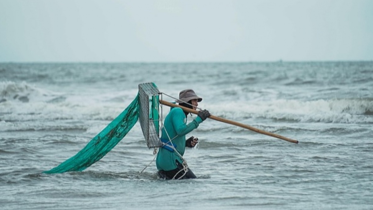 Nelayan di Toli-Toli Sulit Jangkau Ikan Bernilai Tinggi, Bisakah Rumpon Portabel Jadi Solusi?