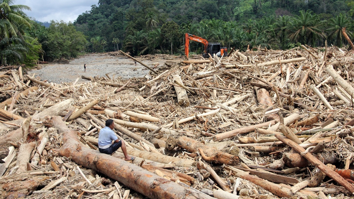 Beda Status Bencana Nasional dan Daerah: Mengapa Banjir Sumatera Belum Ditetapkan?