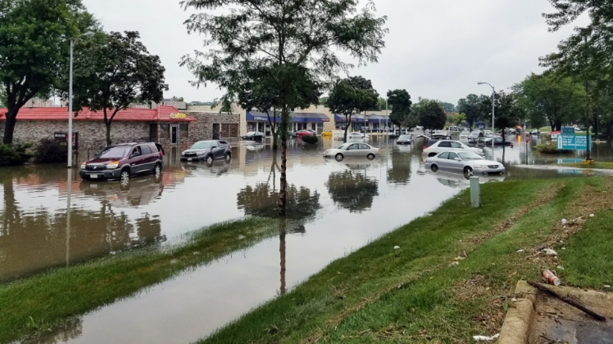 5 Rekomendasi Mobil yang Tahan Banjir dan Perawatan Murah