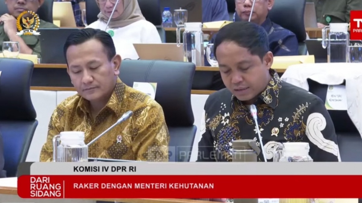 Buntut Bencana Sumatra, Menhut Raja Juli Bidik 12 Perusahaan di Sumut yang Terindikasi Melanggar