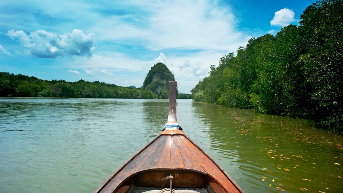 Mengubah Paradigma: Melihat Mangrove sebagai Aset Ekonomi Berkelanjutan
