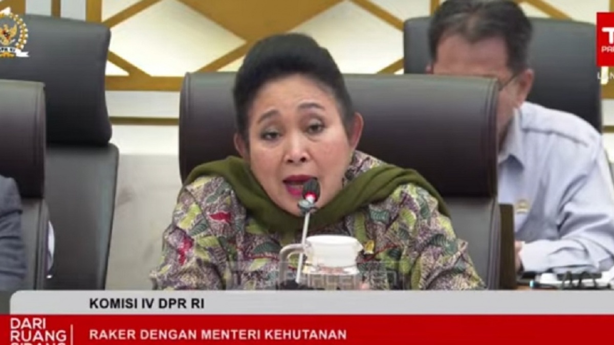 Geram Titiek Soeharto Truk Angkut Kayu Saat Bencana: Tindak Tegas, Bintang Berapa pun Belakangnya