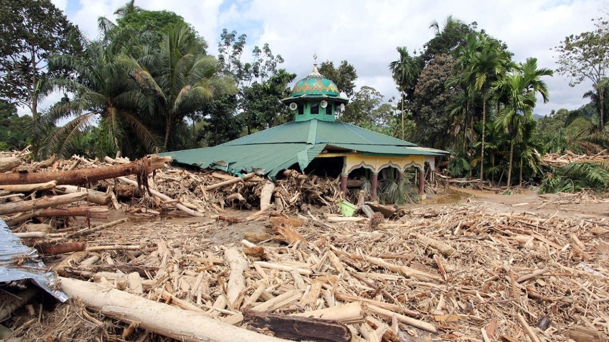 Tambang Emas Terafiliasi ASII di Sumut Disegel, KLH Soroti Potensi Pidana