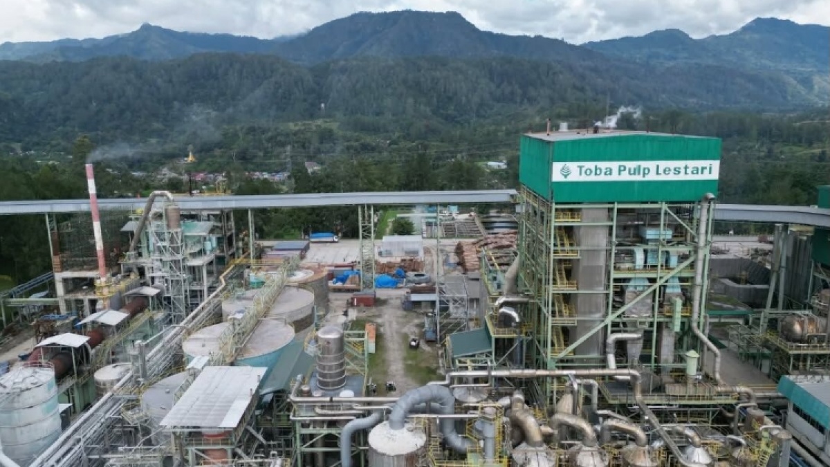 Izin Konsesi Dicabut Prabowo, Toba Pulp PHK Hampir Semua Karyawan