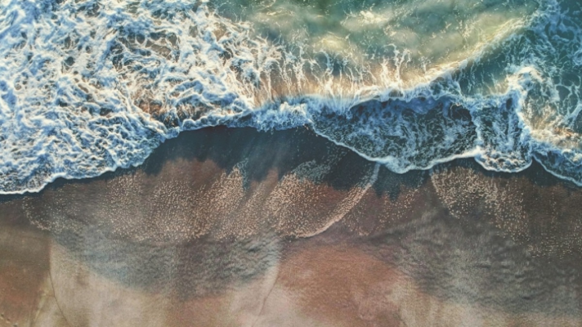 Gelombang Panas Laut Makin Sering Terjadi, Apa Dampaknya bagi Ekosistem dan Masyarakat Pesisir?