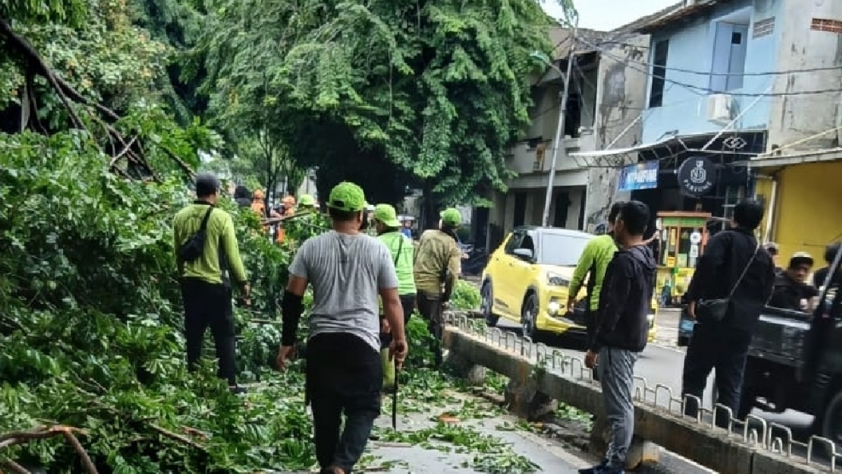 Ada Penebangan Pohon, Ini Daftar Halte Transjakarta Koridor 8 yang Terdampak