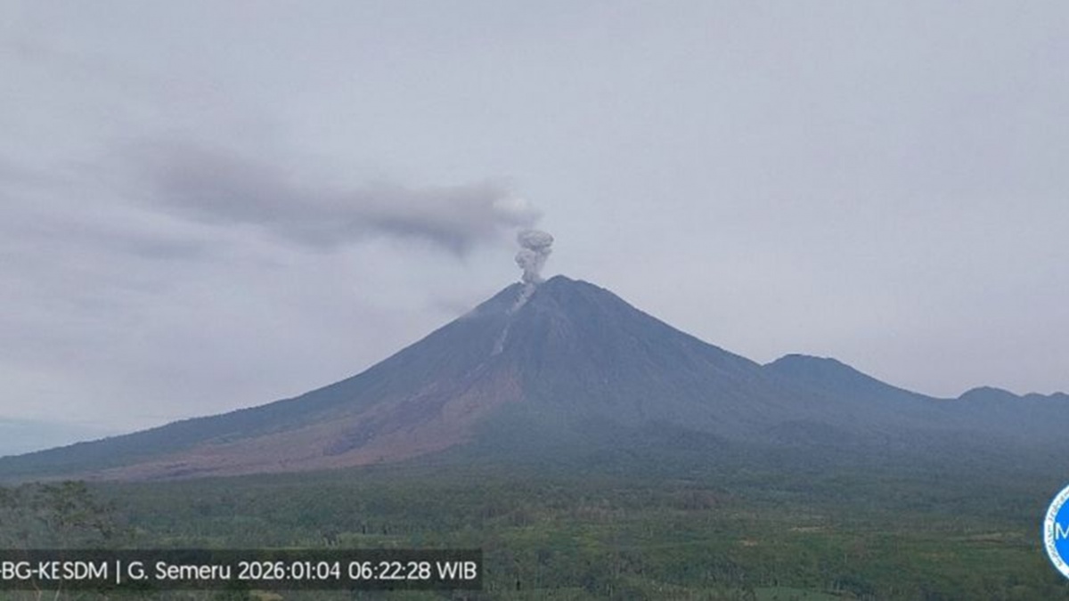 Semeru Muntahkan Awan Panas 4 KM, Kolom Abu Kelabu Membumbung Tinggi, Status Siaga