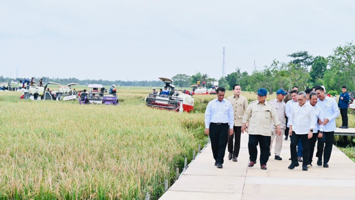 Dihujani Nyinyiran, Prabowo Kasih Bukti Umumkan Swasembada Pangan 2025