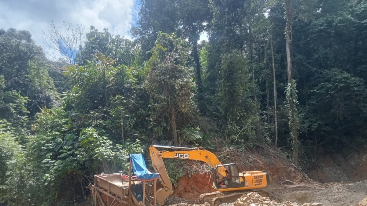 WALHI: PETI di Sumbar Sudah Hancurkan Lebih dari 10 Ribu Hektare Hutan dan Lahan