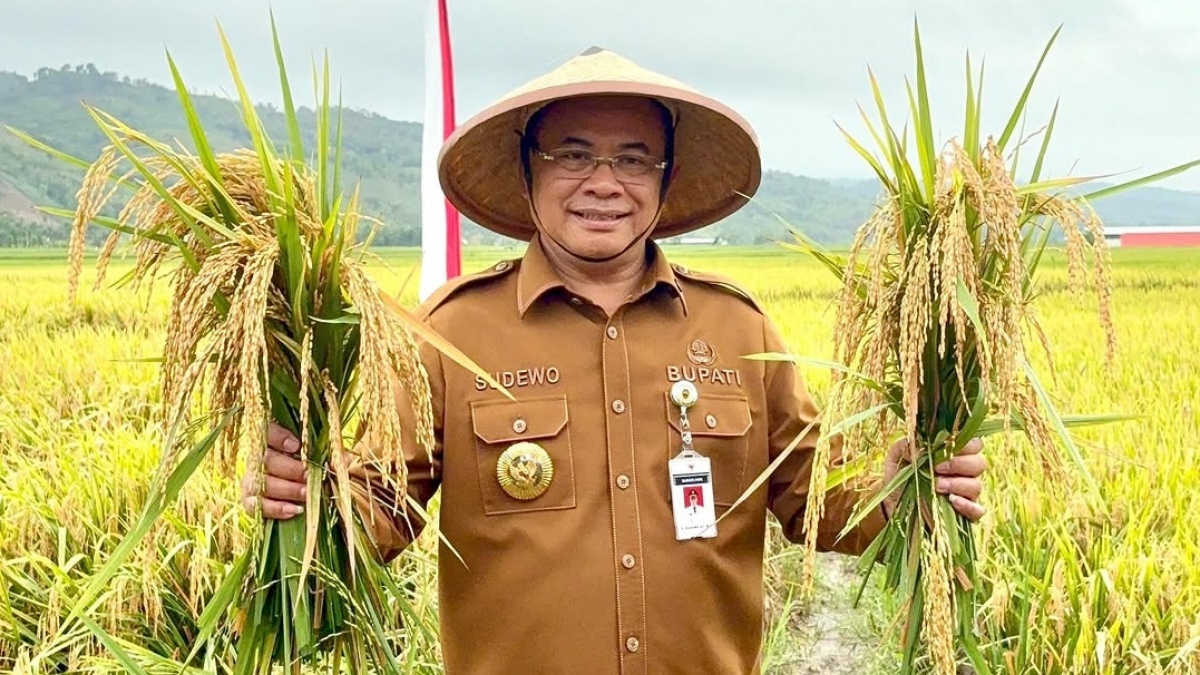 Sudewo Bupati Pati dari Partai Apa? Terjaring OTT KPK