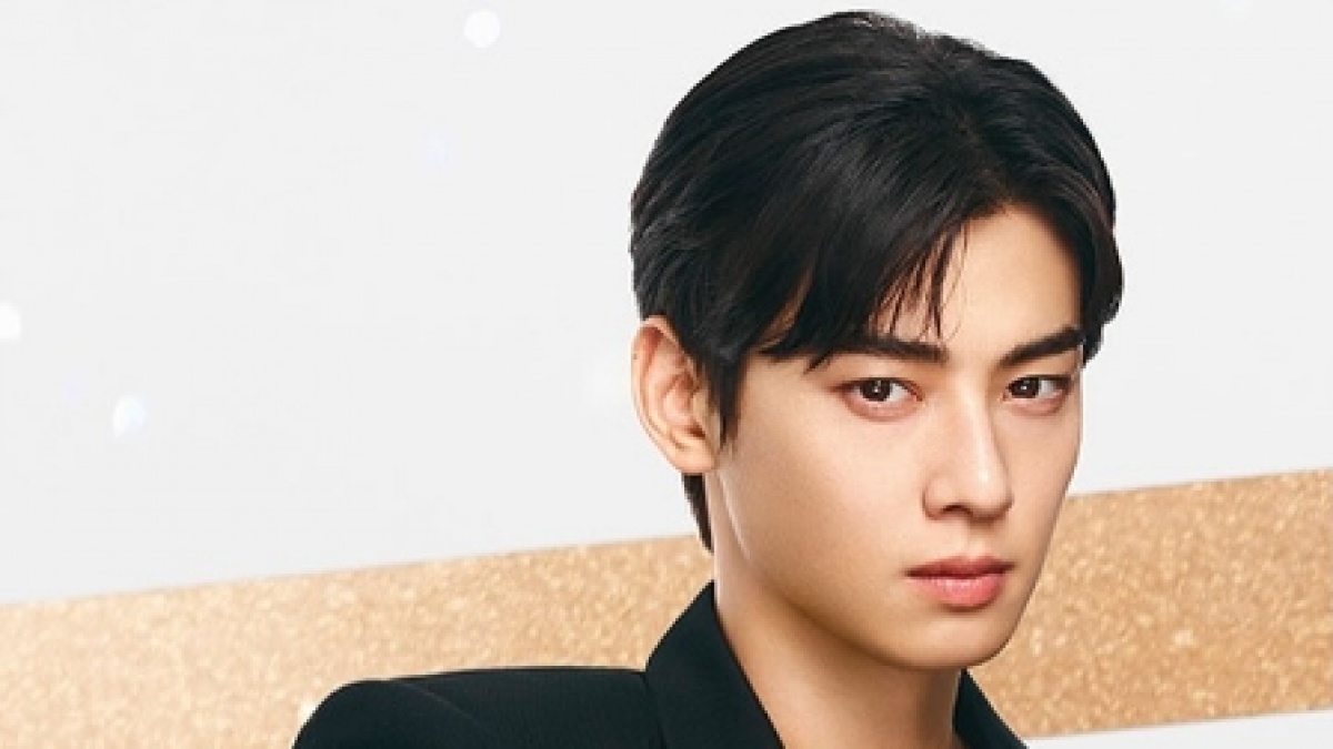 Geger! Cha Eun Woo Diduga Kemplang Pajak Rp240 Miliar, Begini Kronologinya