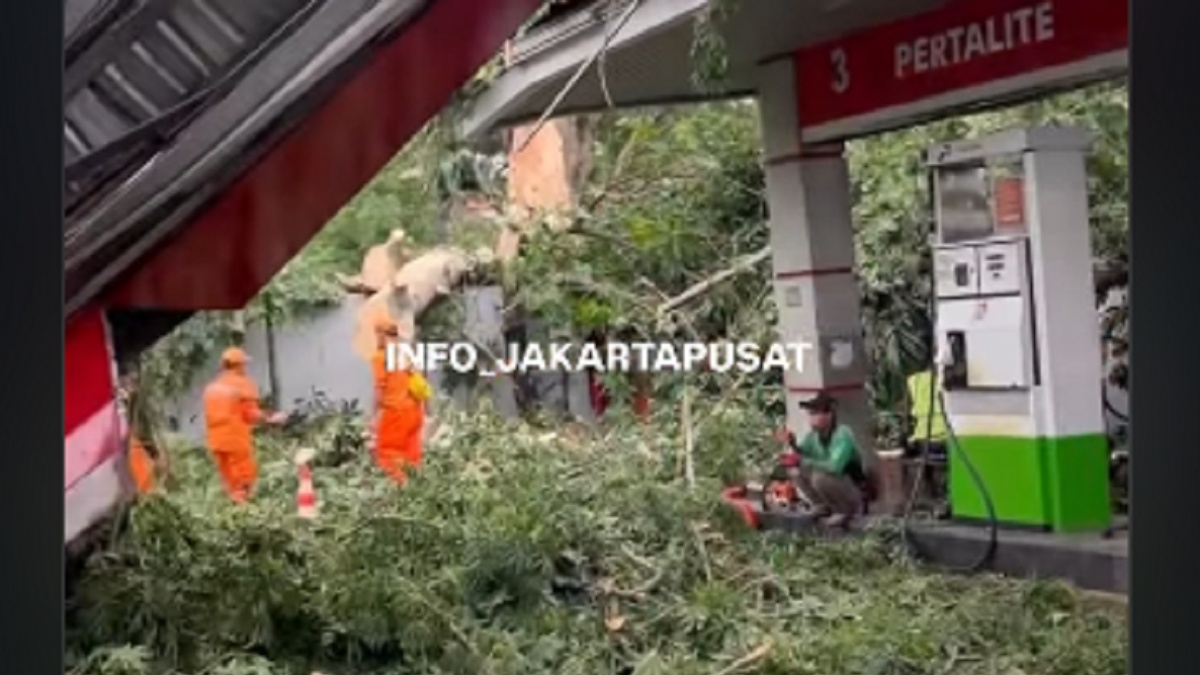 Pohon Tumbang Hantam SPBU Dekat Fly Over Matraman, Empat Orang Luka-Luka